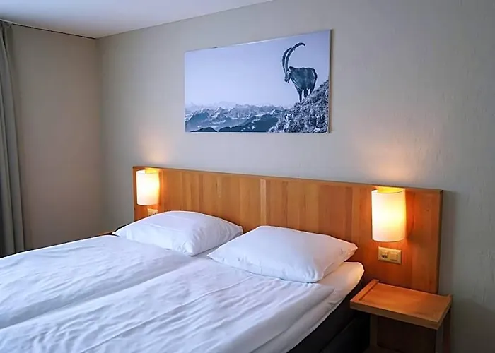 Hotel Bellevue Kriens