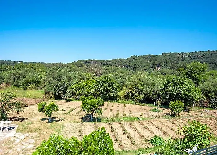 Vassilis Paradise Garden Aparthotel