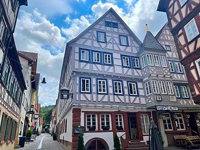 Hotel Schwanen