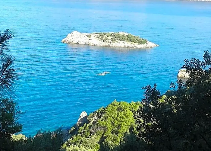 Dolphin Apart