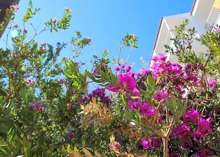 Apartamentos Niu D Aus