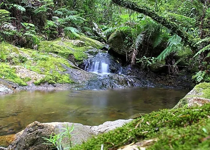 Tangiaro Kiwi Retreat