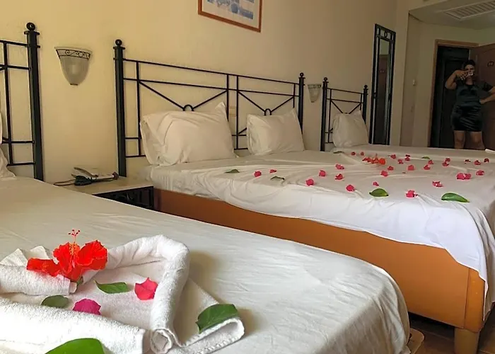 Sol Palmeras Beach - Family Hotel