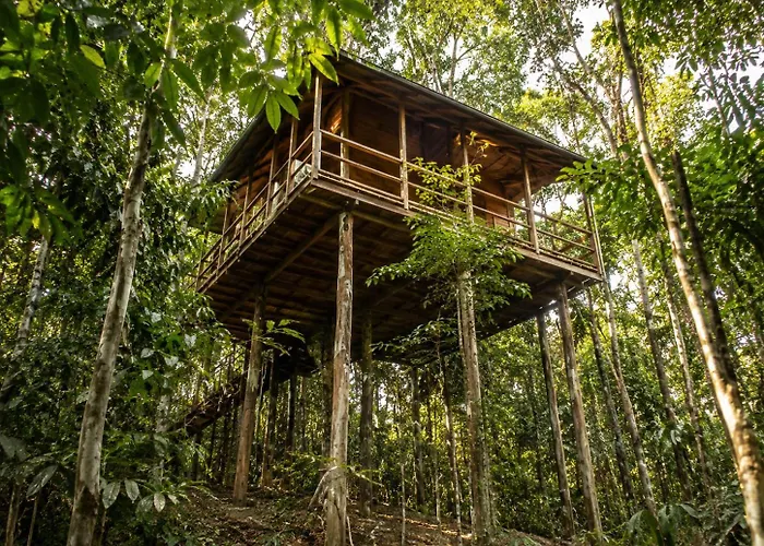 tapiri anavilhanas lodge