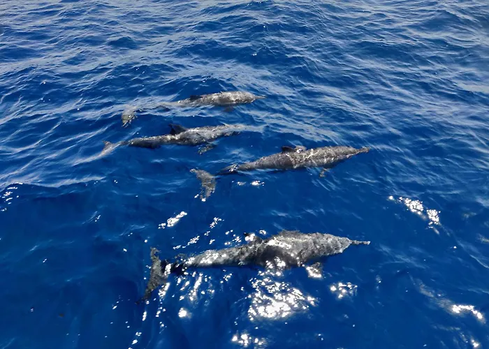 Ocean Bounty