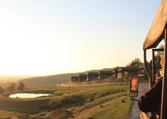 Tiger Lodge - At Port Lympne Hotel & Reserve