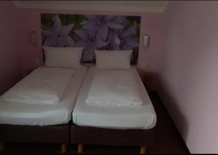 Hotel Maxsoyi
