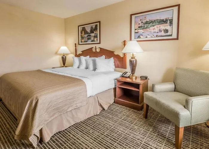 Rodeway Inn By Choice Sylacauga Hwy 280