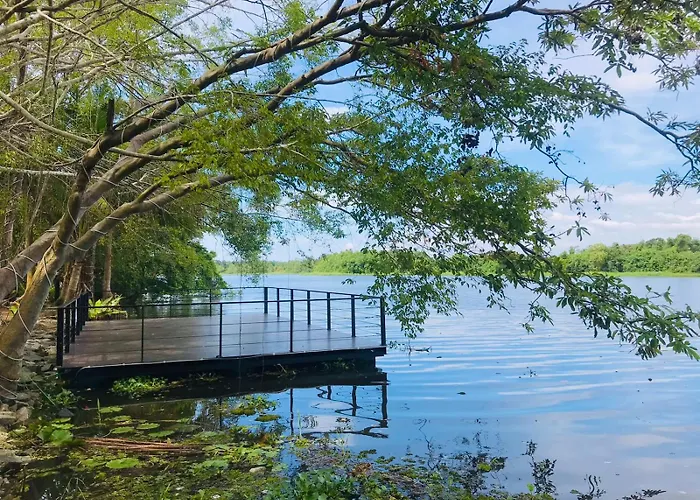 River Tree Bolgoda