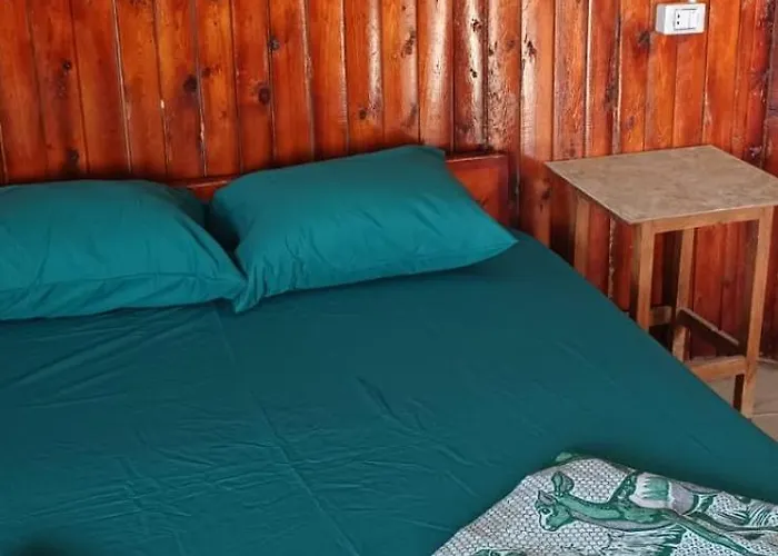 Viva La Vida Beach Camp