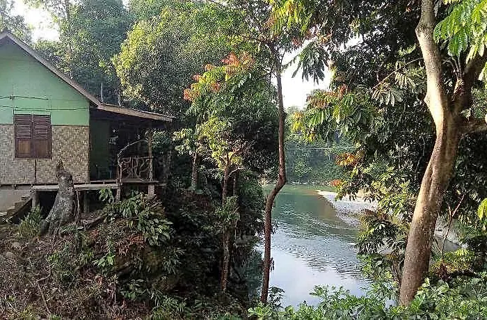 Green Lodge Tangkahan