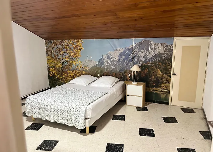 Hotel Francois 1Er