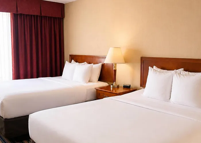 Comfort Inn & Suites Ambassador Bridge