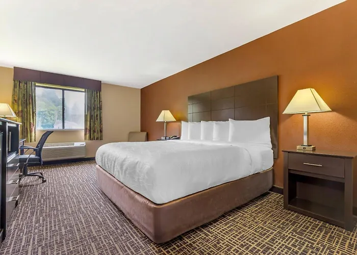 Quality Inn & Suites Caseyville - St Louis