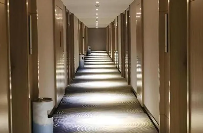 Echarm Hotel Lhasa Potala Palace