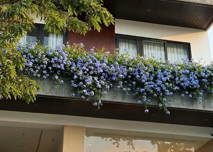 Verdant Apartment & Hotel
