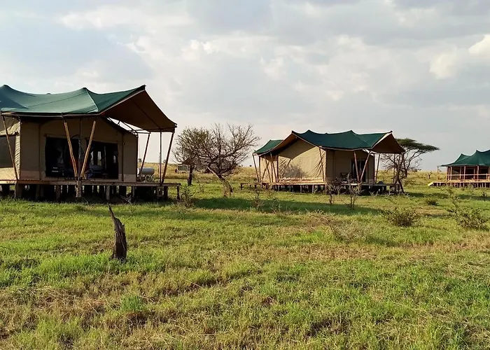 Taste Of Serengeti Luxury Safari Camp
