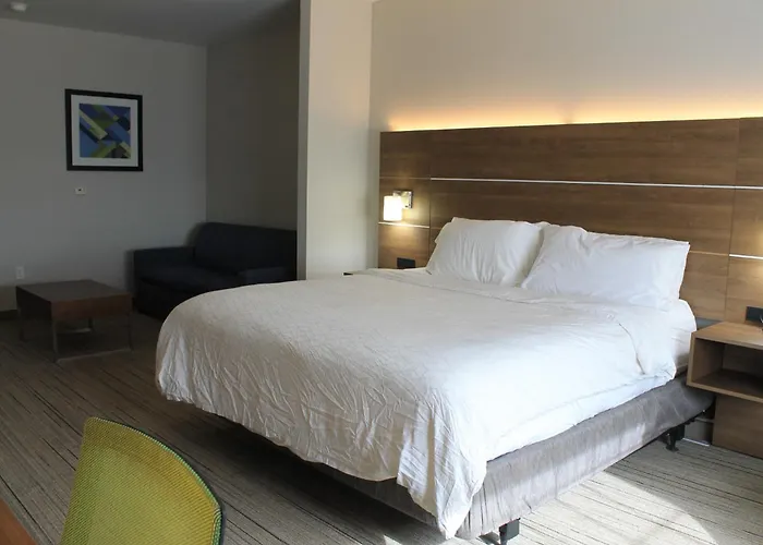 Holiday Inn Express & Suites Levelland By Ihg