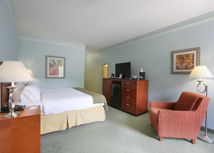 Holiday Inn Express Tampa North Telecom Park By Ihg