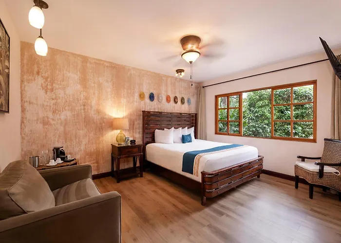 Buena Vista Chic Hotel