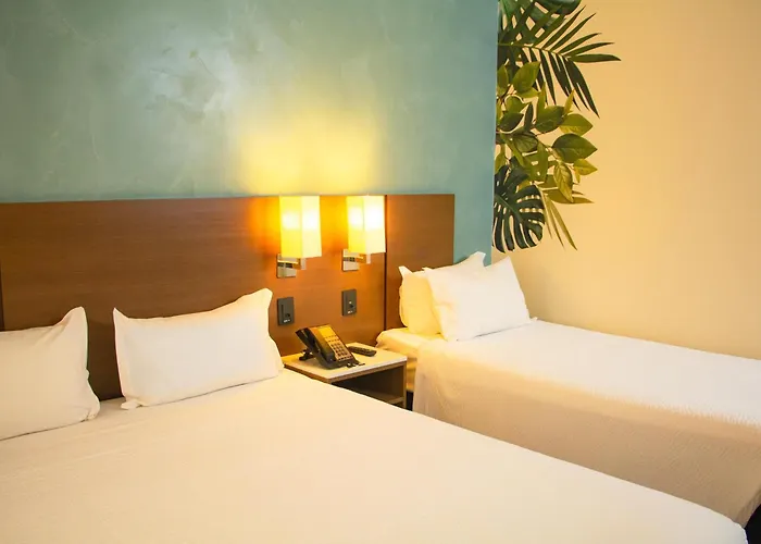 Ibis Styles Curitiba Aeroporto