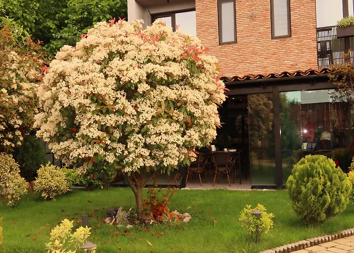 Boutique Hotel Kviria