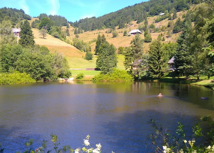 Berghaus Freiburg - Wanderparadies auf dem Schauinsland