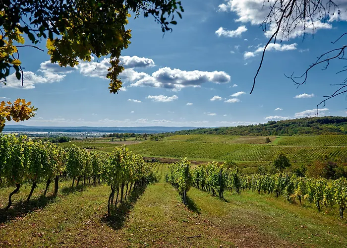 Stupnicki Dvori Winery Hotel