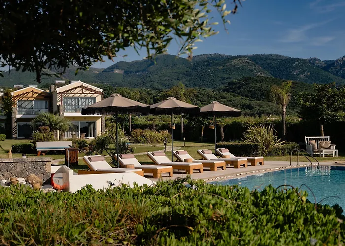 Restia (Adults Only)