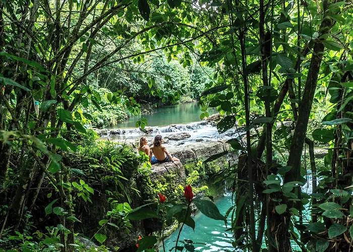 El Jardin Lodge & Spa - Misahualli