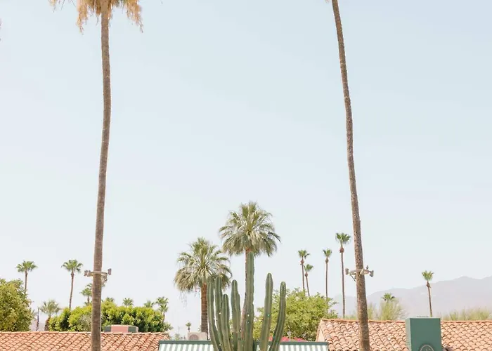 Les Cactus