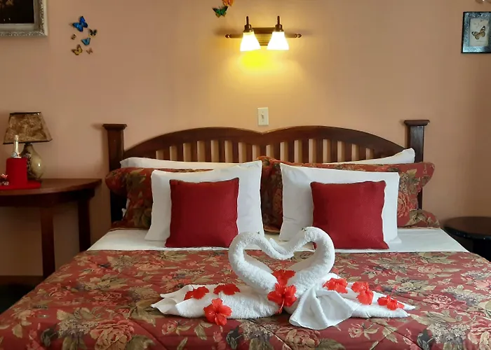 Hotel El Delfin
