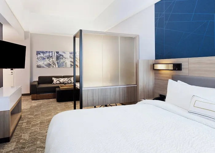 Springhill Suites By Marriott Montgomery Prattville/Millbrook