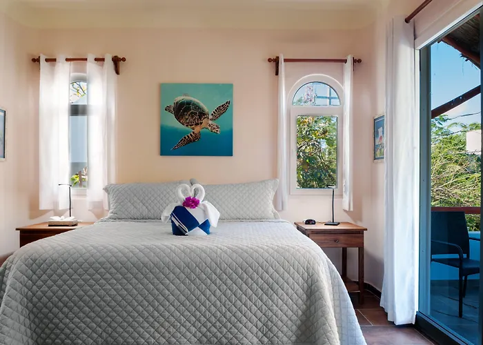 Casa Sonoma - Charming Condos Minutes From Beach & Reef