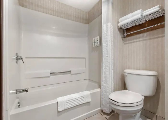 Quality Inn & Suites Manistique