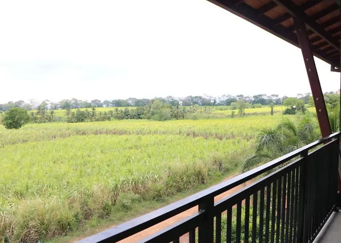 Ali Weta Safari Resort