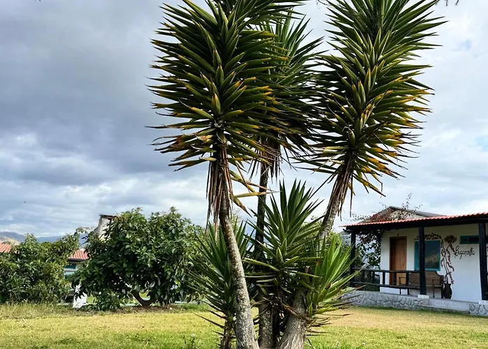 Finca San Alejandro