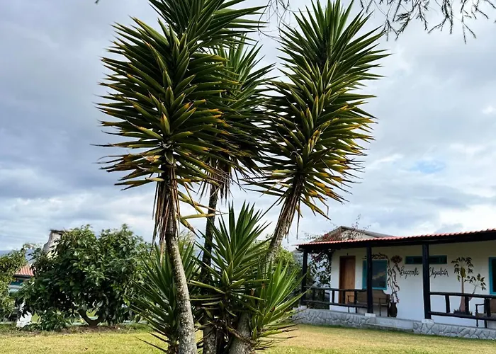 Finca San Alejandro