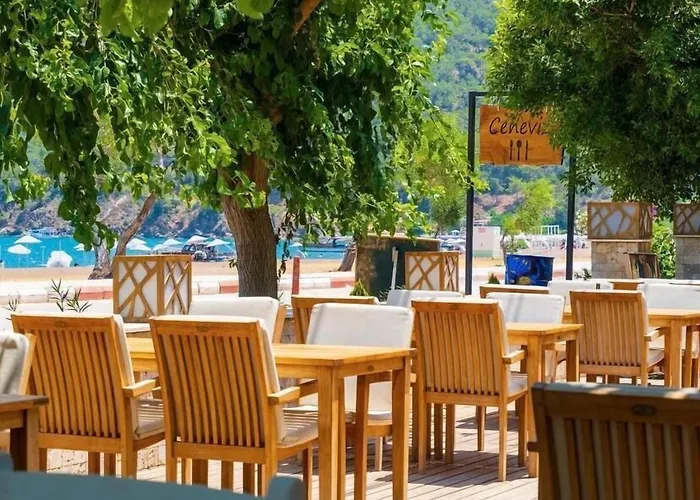 Ceneviz Hotel
