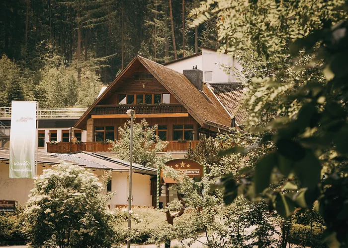Waldhotel Ehrental