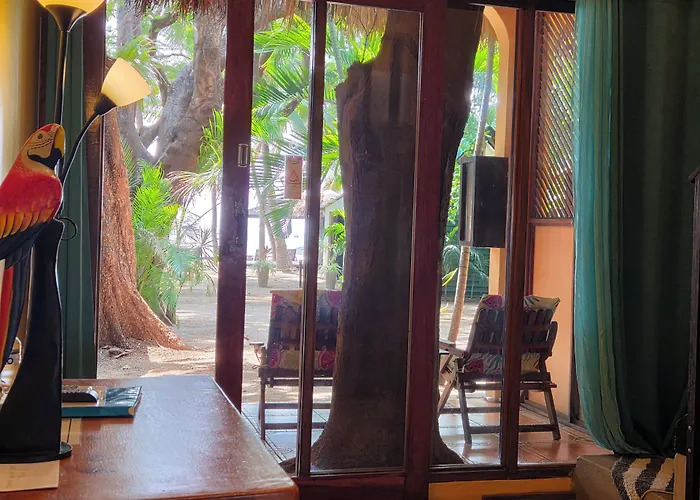 Hotel La Palapa