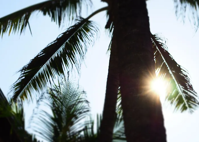The Seascape
