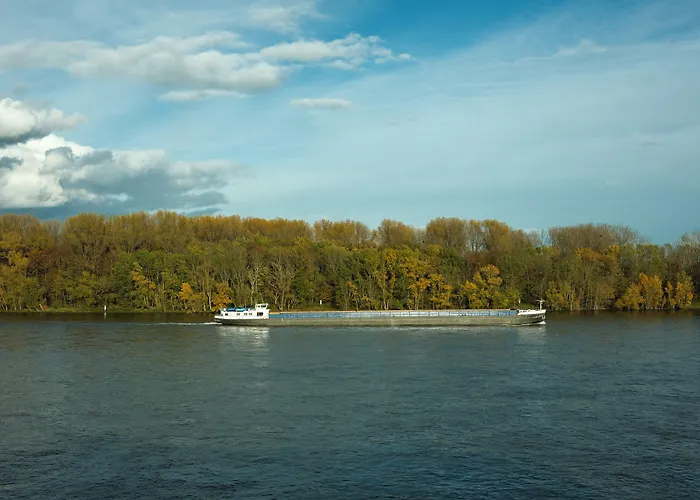 Hotel am Rhein