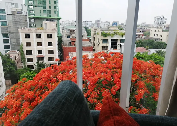 The Way Dhaka