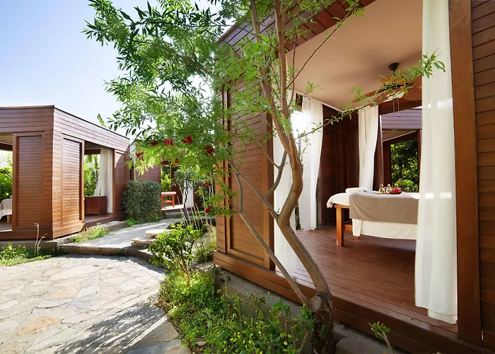 The Lifeco Bodrum Well-Being Detox Center And Vegan Hotel (Adults Only)