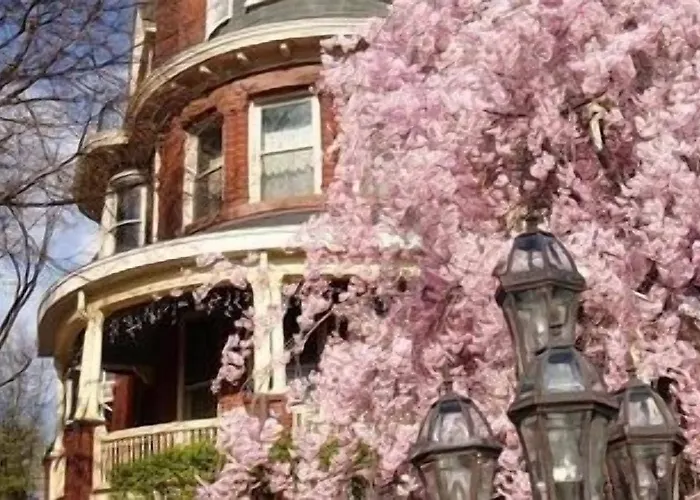 Wilson House Bed & Breakfast