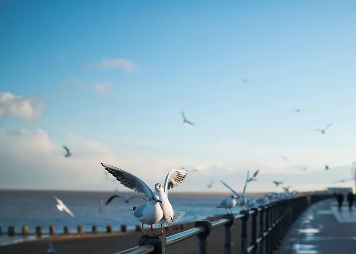 Holiday Inn Express Grimsby By Ihg