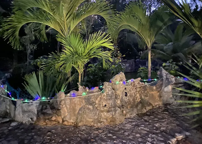Casa De Las Tortugas I Tour Akumal Xetna