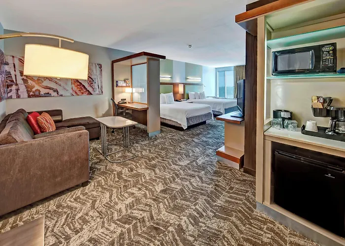 Springhill Suites By Marriott Oklahoma City Moore