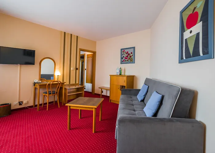 Hotel Concertino Zlata Husa